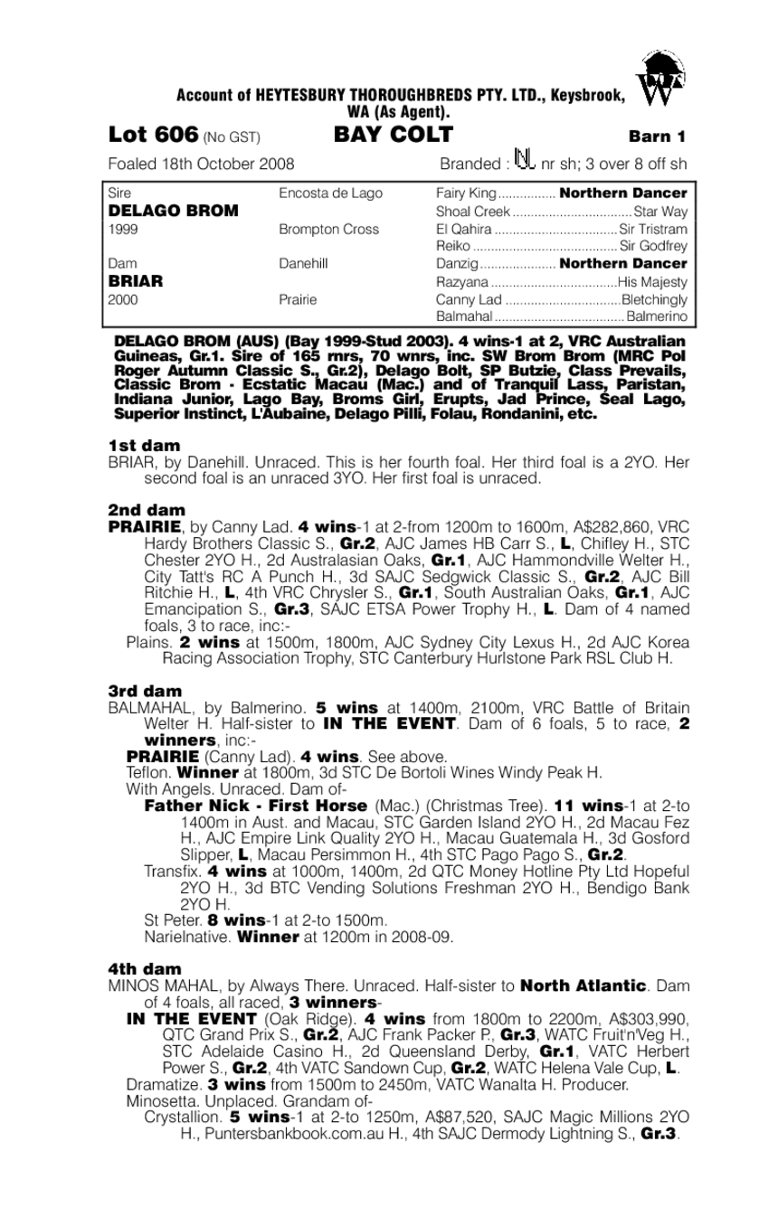 Viva Delago - pedigree