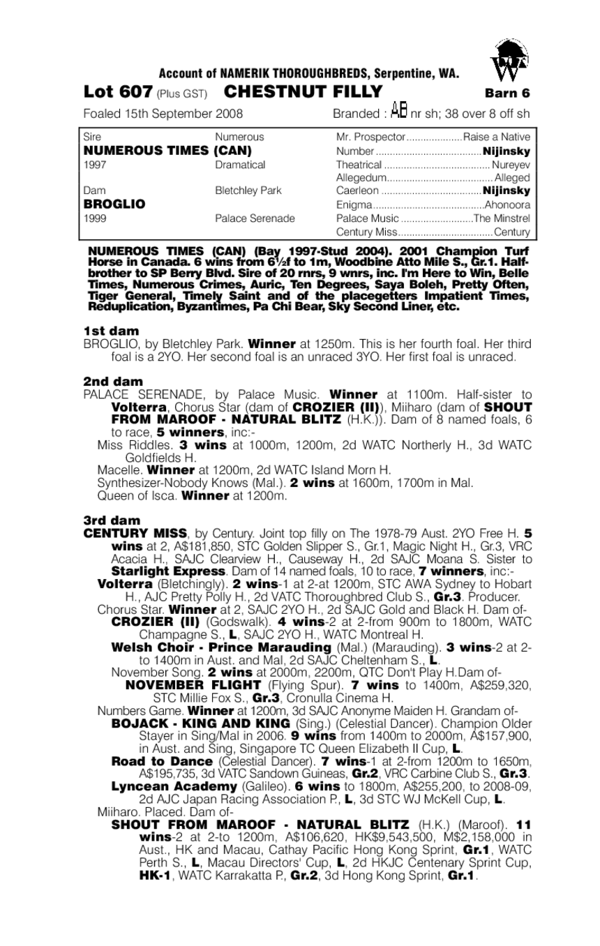 Hard Time - pedigree