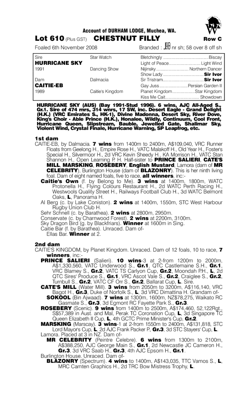 Caitie Can - pedigree