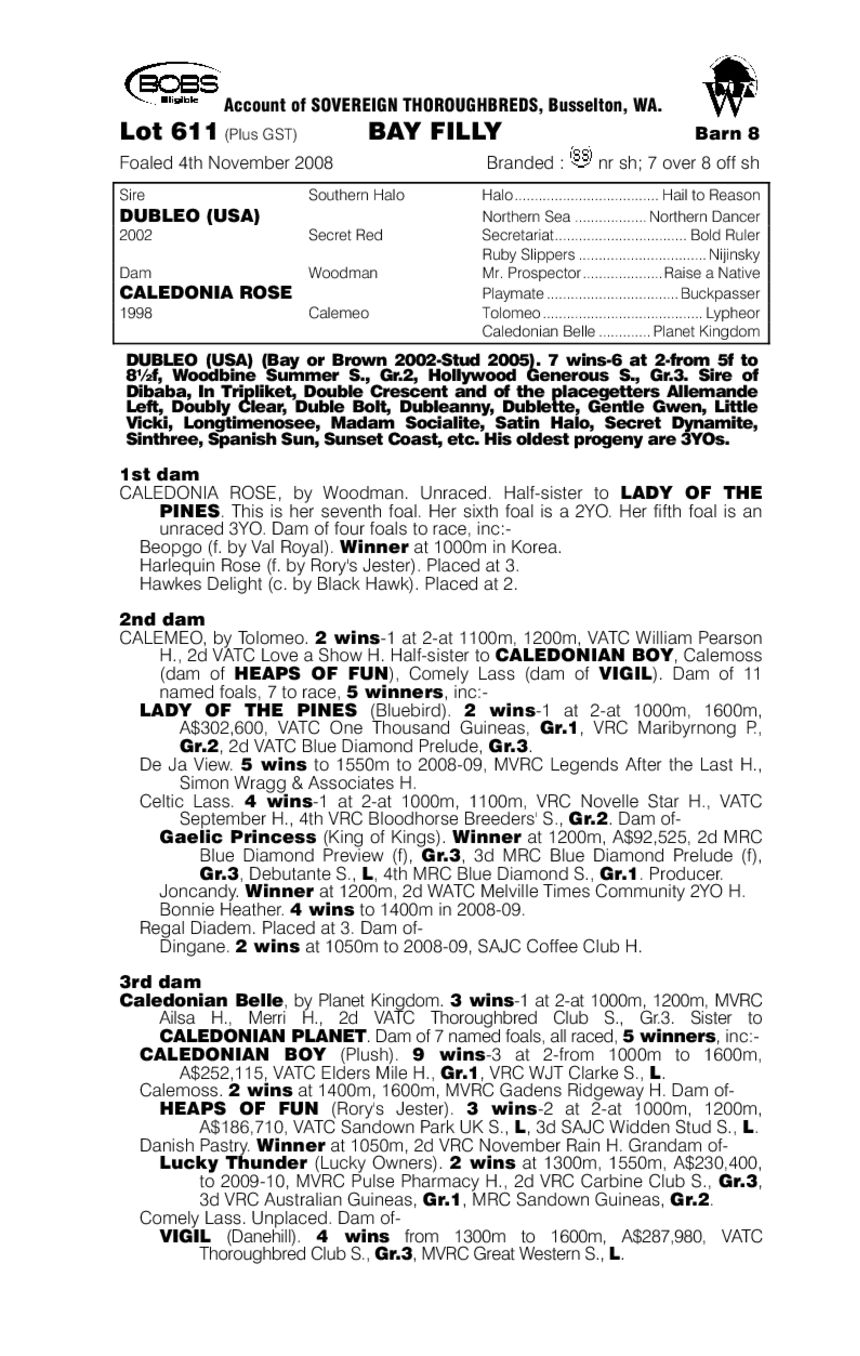 Keystone Rose - pedigree