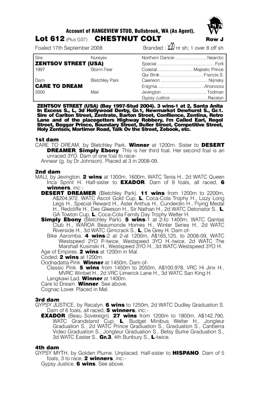 Optimus Prime (AUS) - pedigree