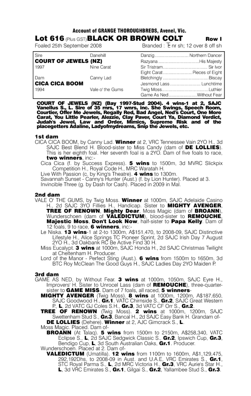 King Of The Cross - pedigree