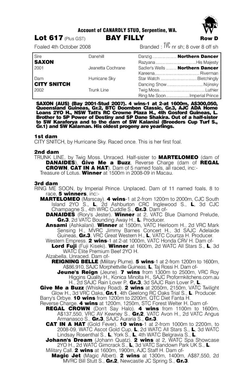 Saxon (AUS) / City Snitch (AUS) - pedigree