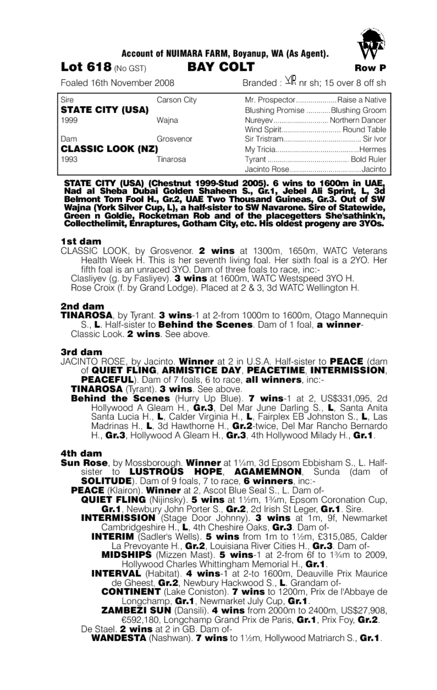 City Class - pedigree