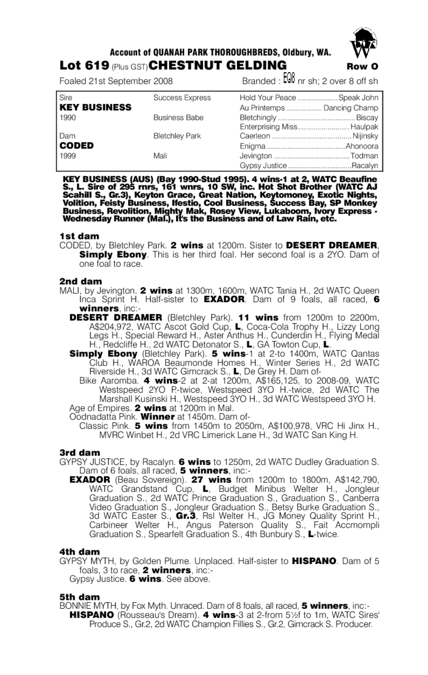 Key Business (AUS) / Coded (AUS) - pedigree