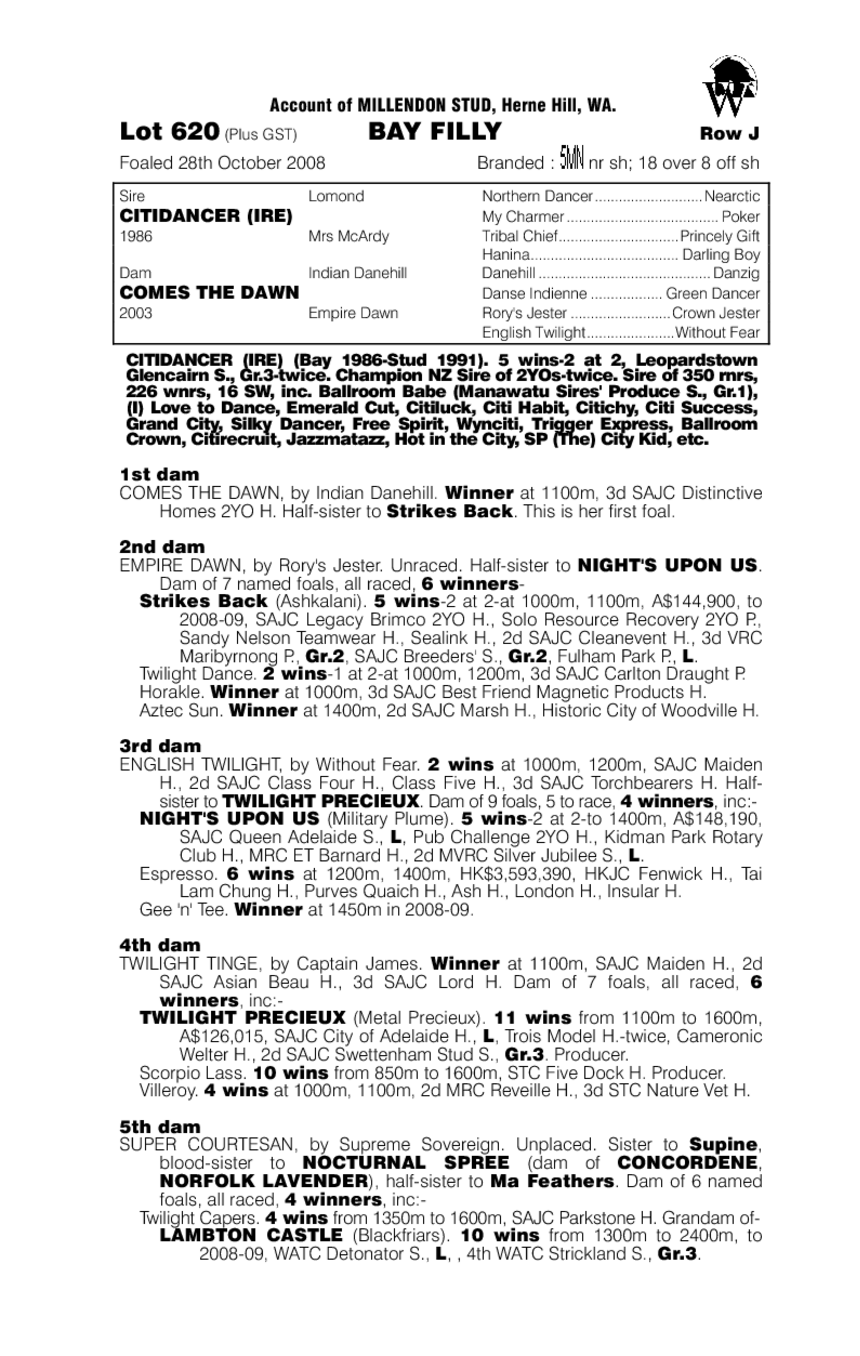 Citidancer (IRE) / Comes The Dawn (AUS) - pedigree