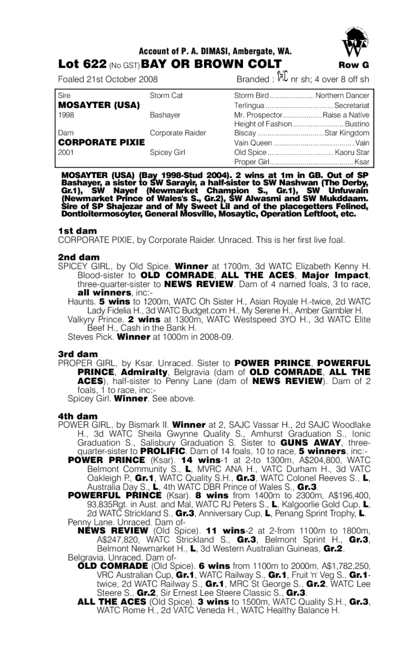 De Lady's Man - pedigree