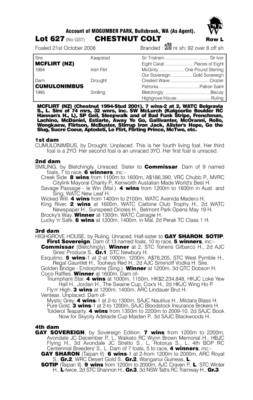 On Cloud Nine - pedigree