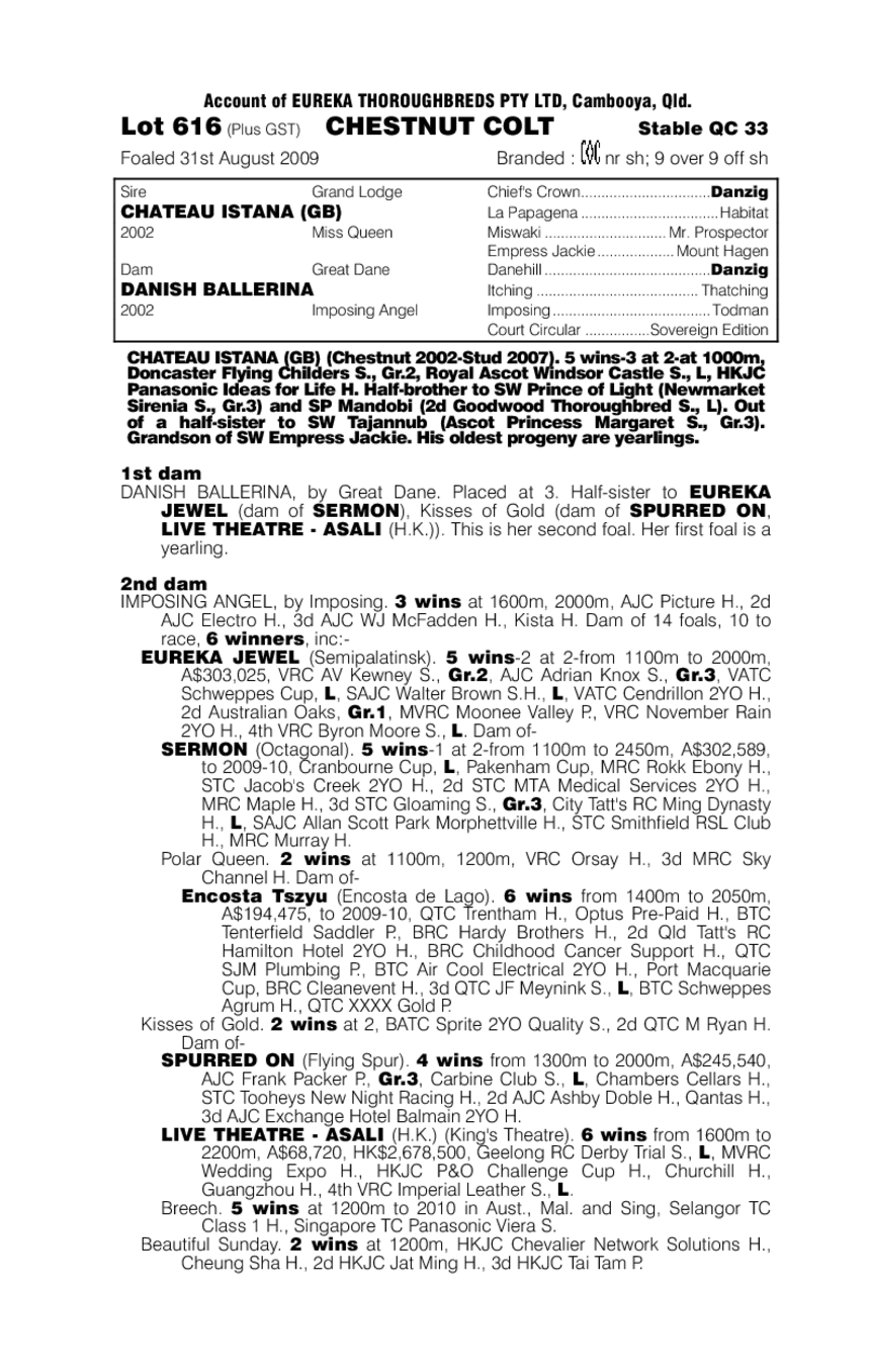 Rocket On Flash - pedigree