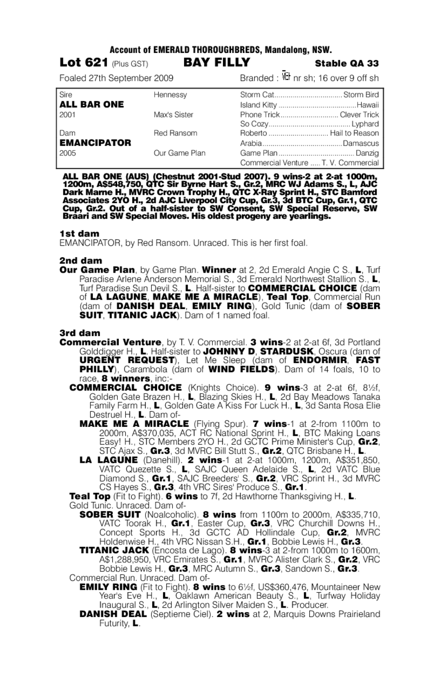 Cutie Knows - pedigree