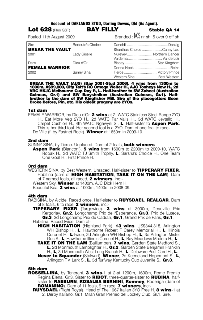 Dottie D'or - pedigree