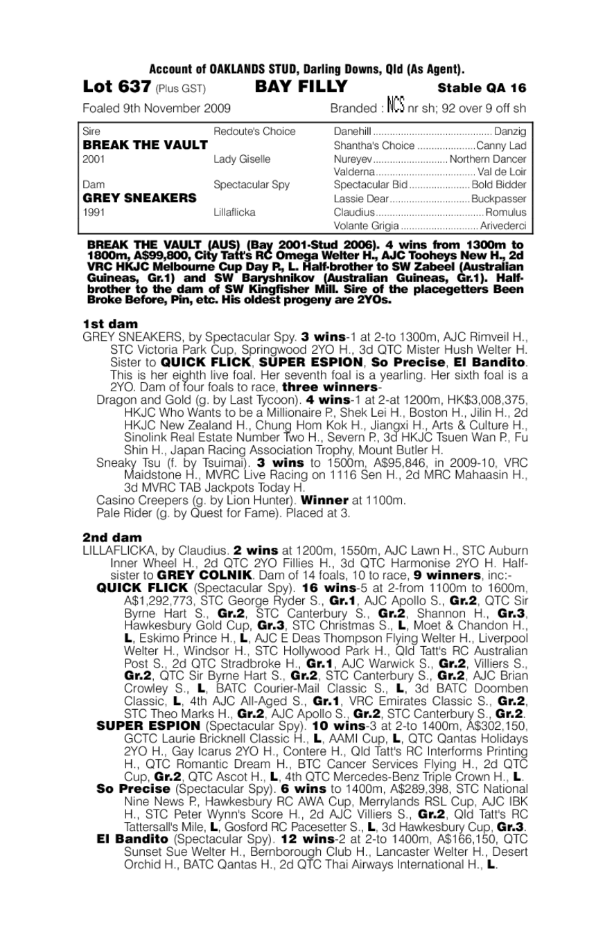 Cash In The Bank - pedigree