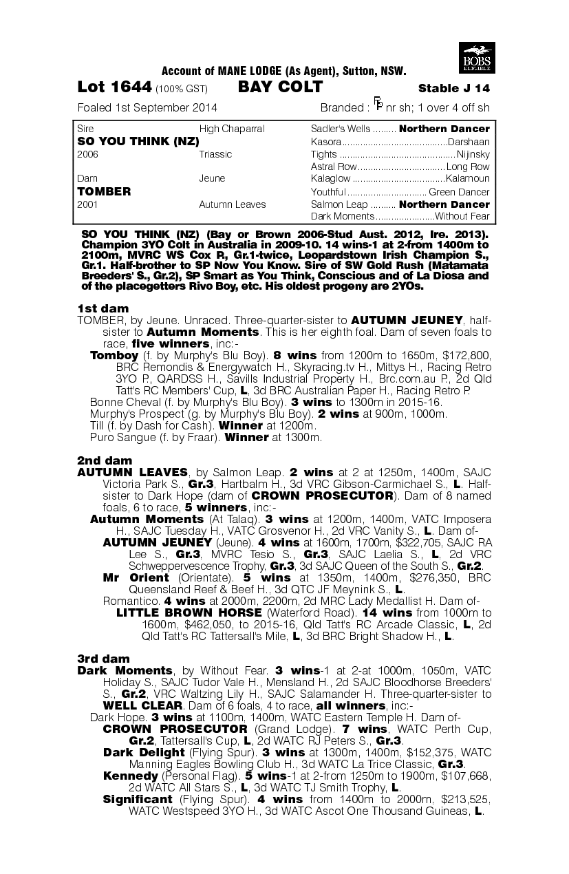 So You Think (NZ) / Tomber (AUS) - pedigree