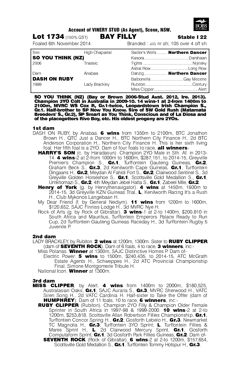 So You Think (NZ) / Dash On Ruby (AUS) - pedigree