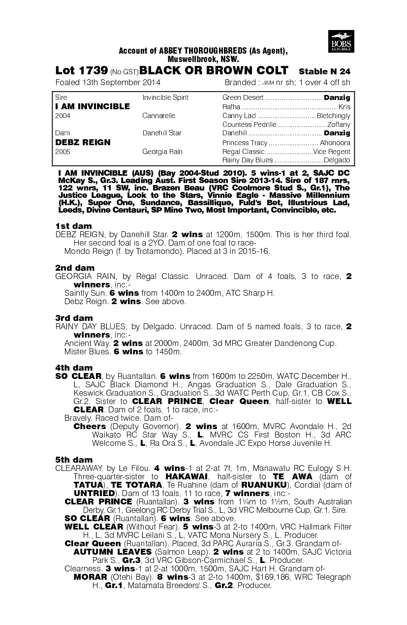 I Am Invincible (AUS) / Debz Reign (AUS) - pedigree