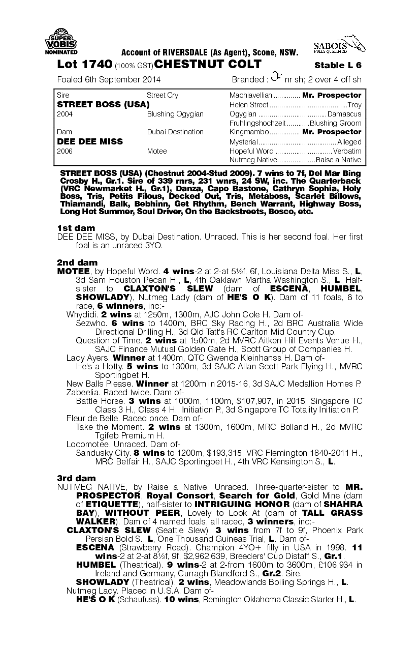 Street Boss (USA) / Dee Dee Miss (AUS) - pedigree