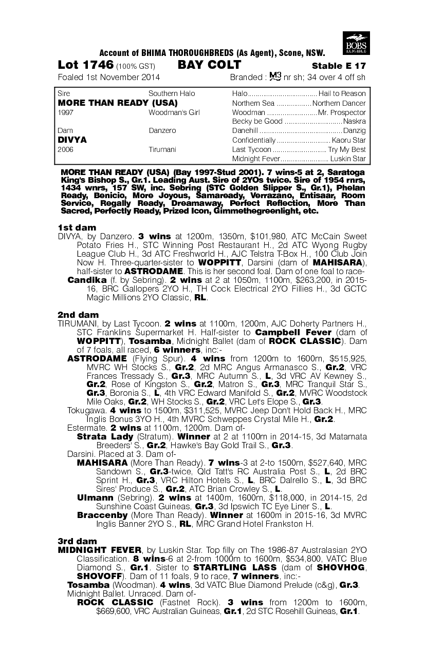 More Than Ready (USA) / Divya (AUS) - pedigree