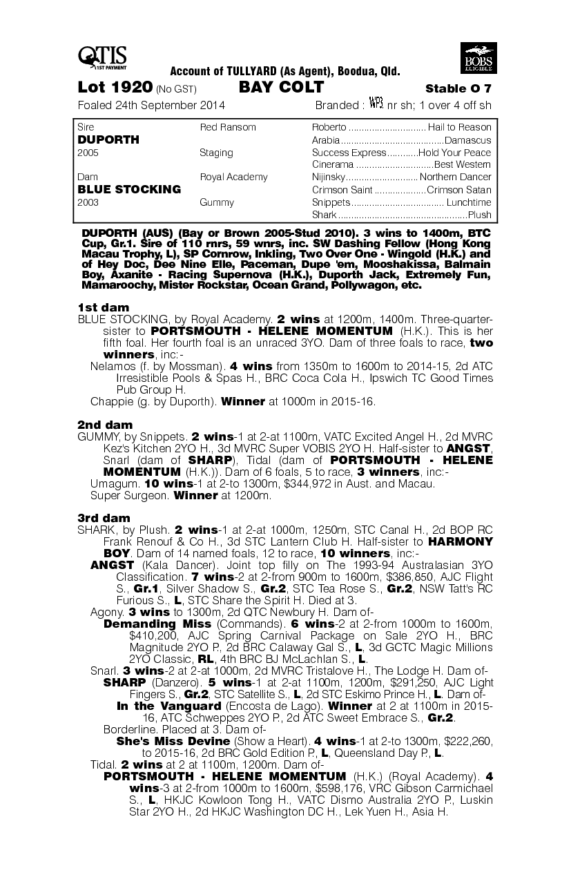 Duporth (AUS) / Blue Stocking (AUS) - pedigree