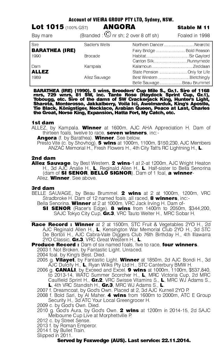 Angora (AUS) - pedigree