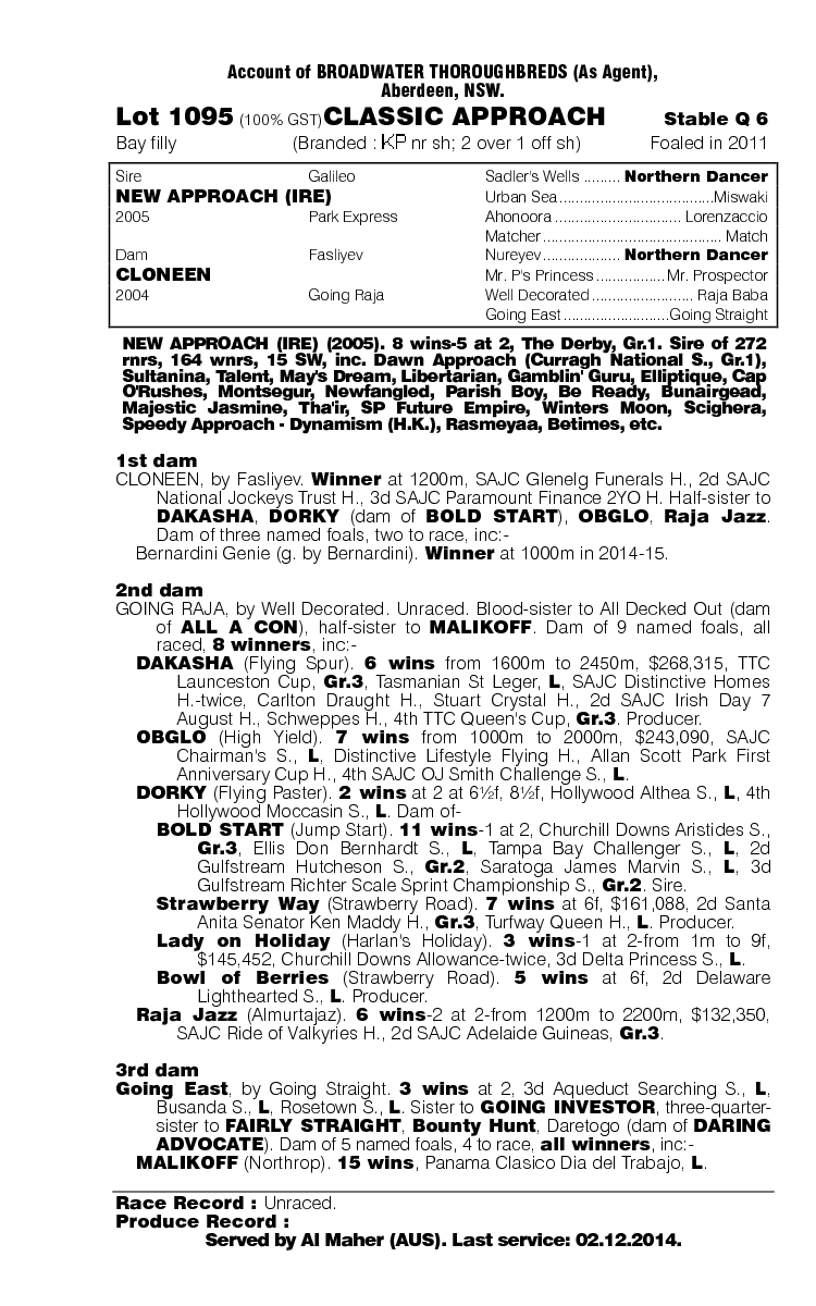 Classic Approach (AUS) - pedigree