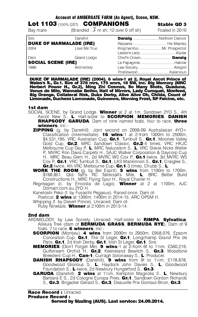 Companions (AUS) - pedigree