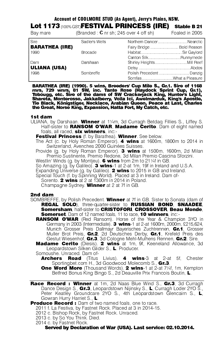 Festival Princess (IRE) - pedigree