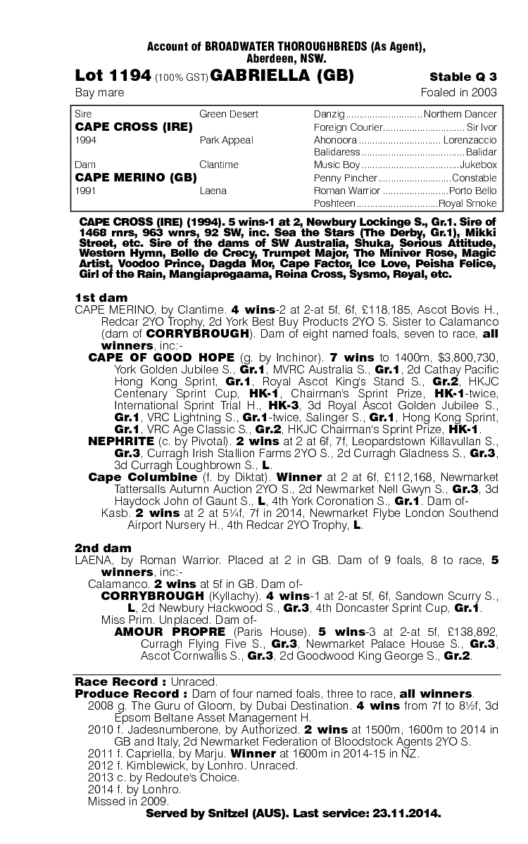 Gabriella (GB) - pedigree