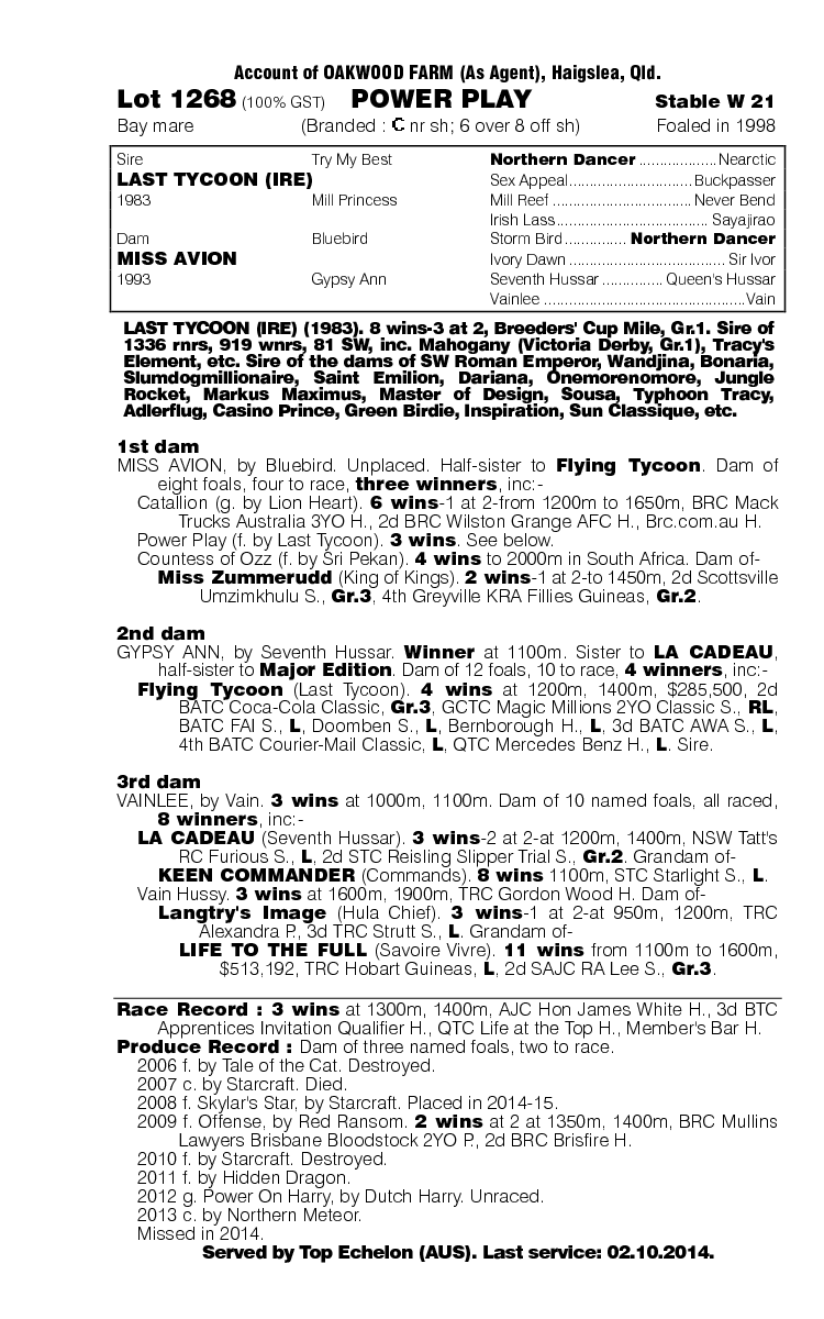 Power Play (AUS) - pedigree