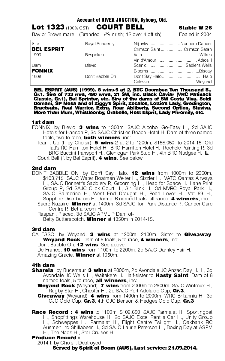 Court Bell (AUS) - pedigree