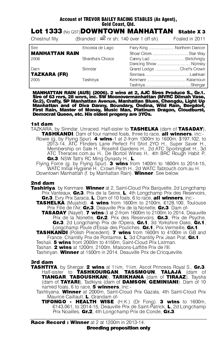 Downtown Manhattan (AUS) - pedigree