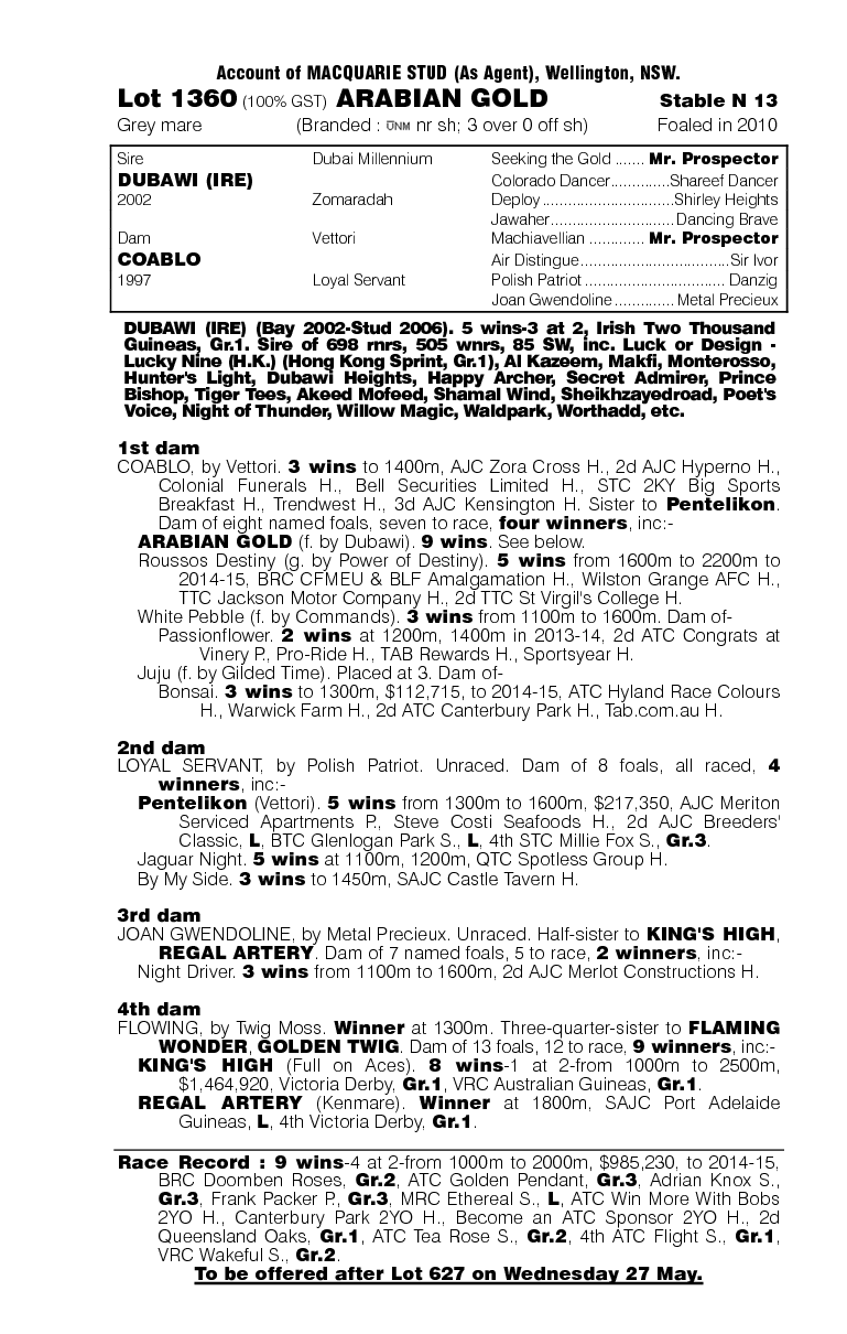 Arabian Gold (AUS) - pedigree