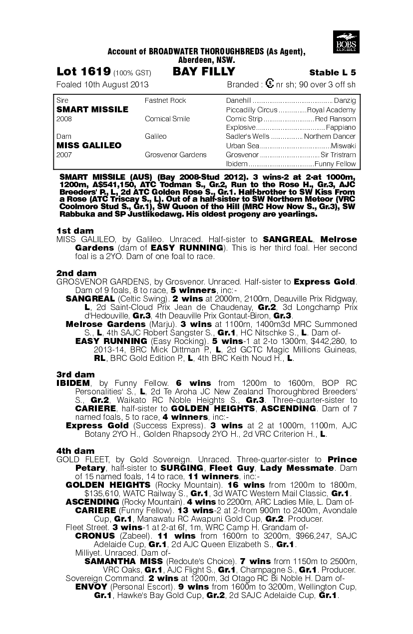 Smart Missile (AUS) / Miss Galileo (AUS) - pedigree