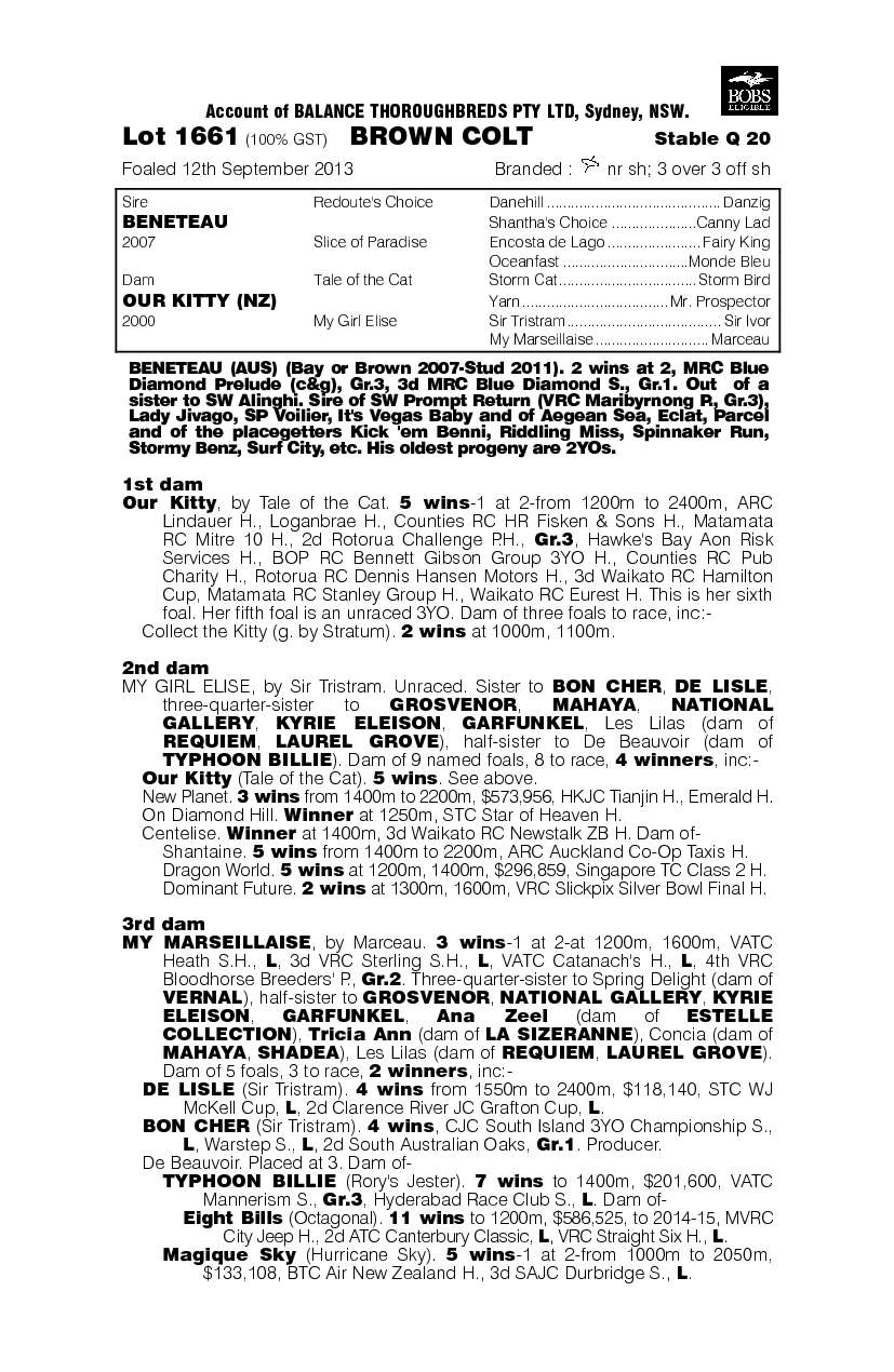 Beneteau (AUS) / Our Kitty (NZ) - pedigree