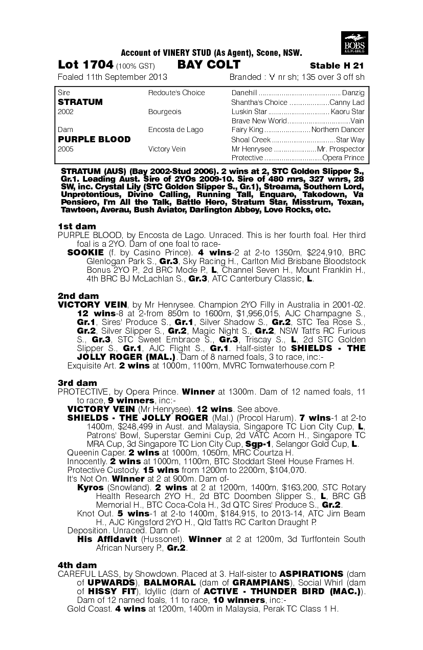 Stratum (AUS) / Purple Blood (AUS) - pedigree