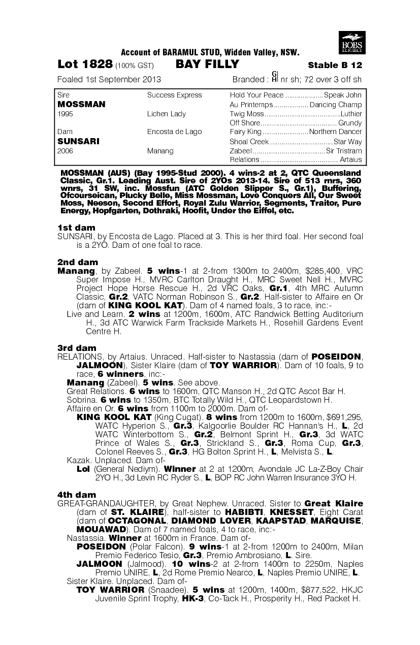 Misinterpretation (AUS) - pedigree
