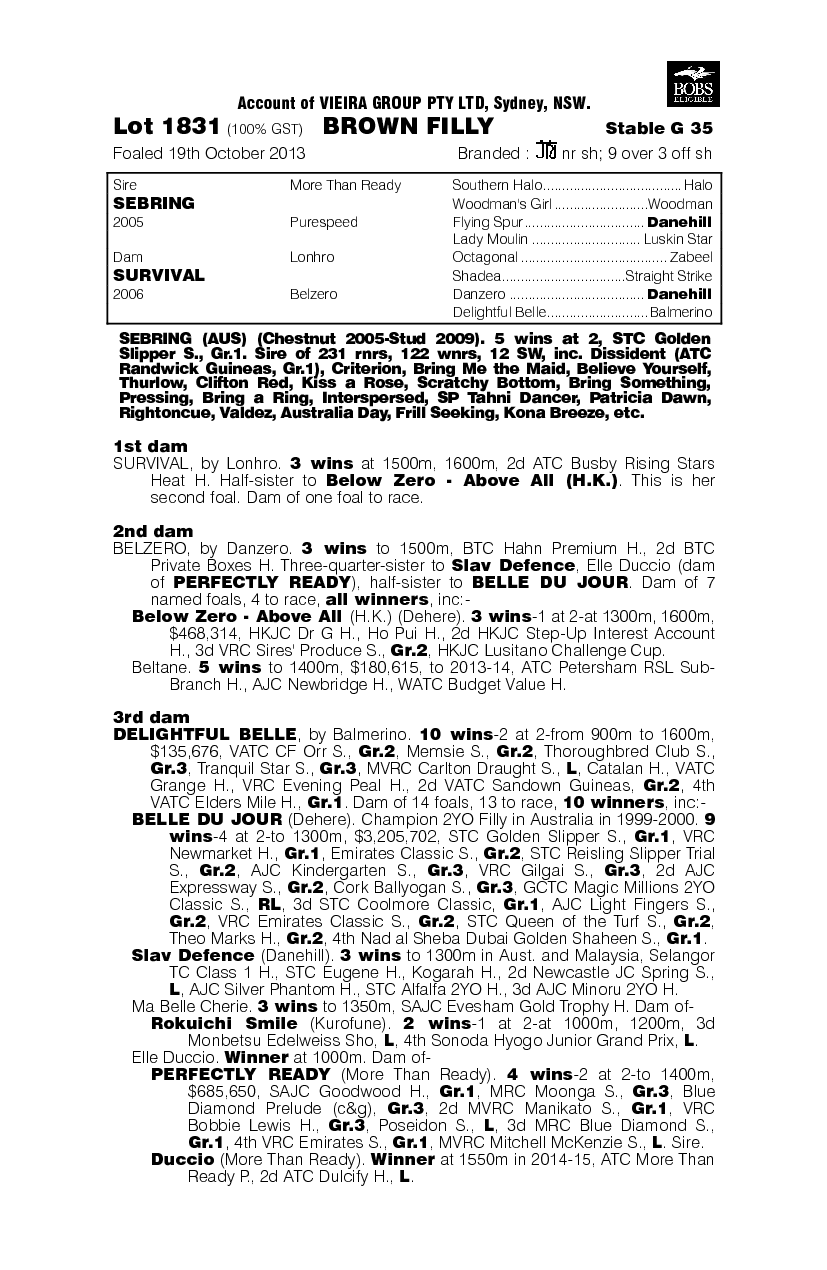 Special Thing (AUS) - pedigree