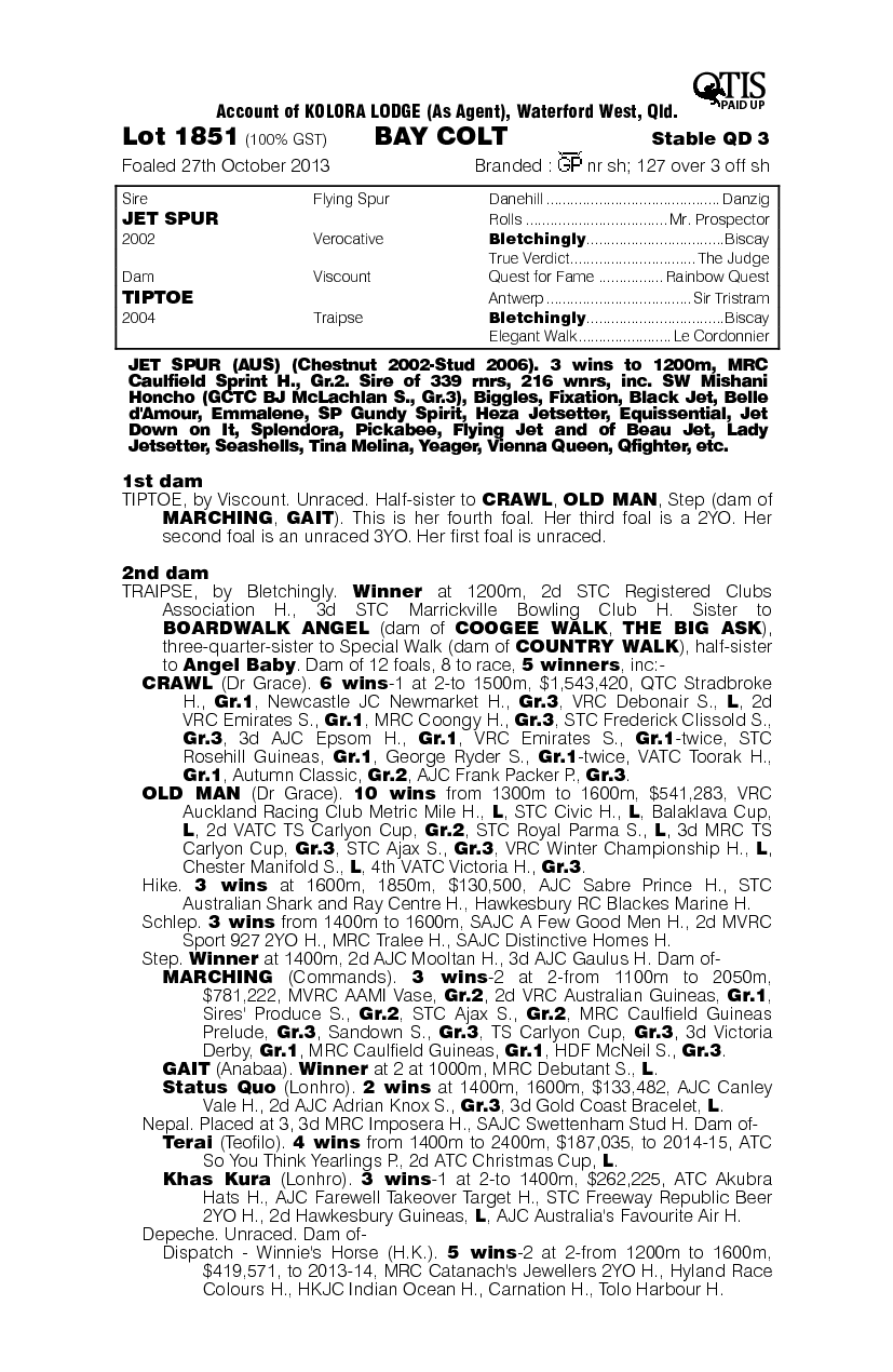 Jet Spur (AUS) / Tiptoe (AUS) - pedigree