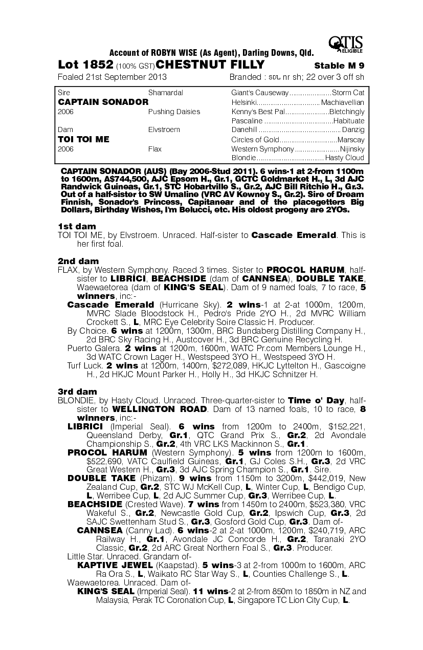 Captain Sonador (AUS) / Toi Toi Me (AUS) - pedigree