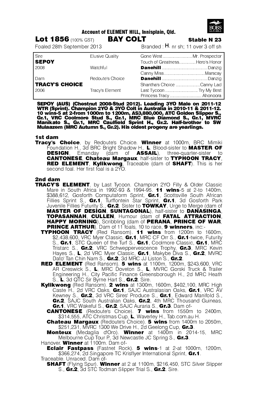 Sepoy (AUS) / Tracy's Choice (AUS) - pedigree