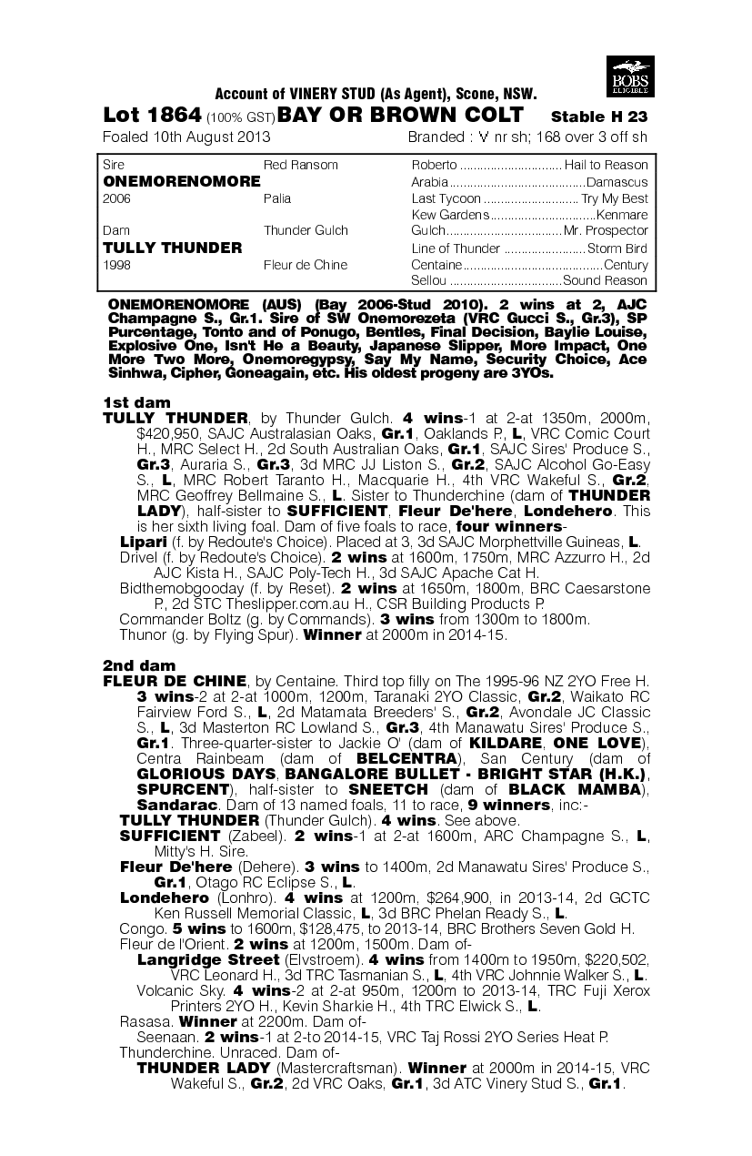 More Thunder (AUS) - pedigree