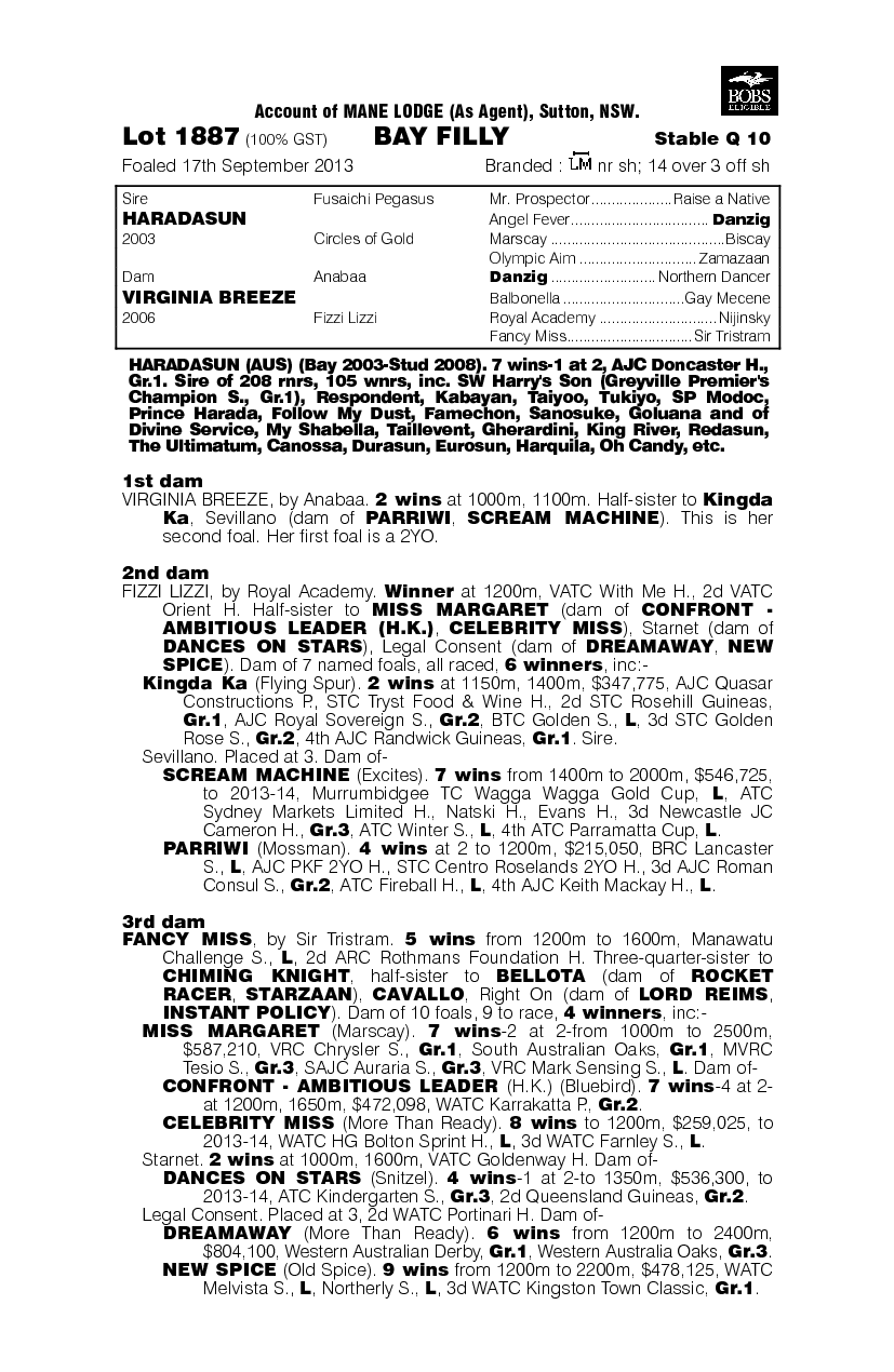 Haradasun (AUS) / Virginia Breeze (AUS) - pedigree