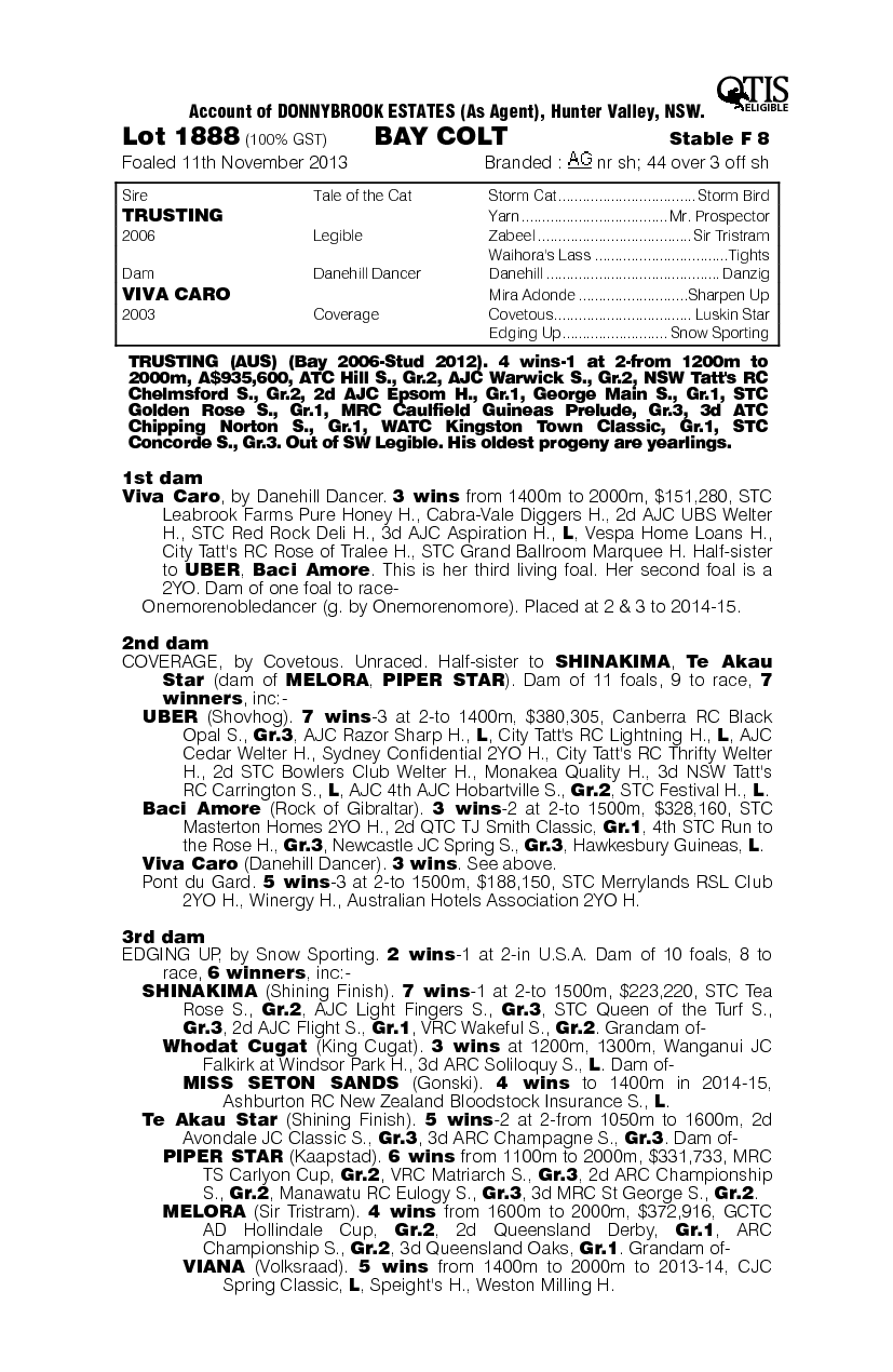 Rocky Marriage (AUS) - pedigree