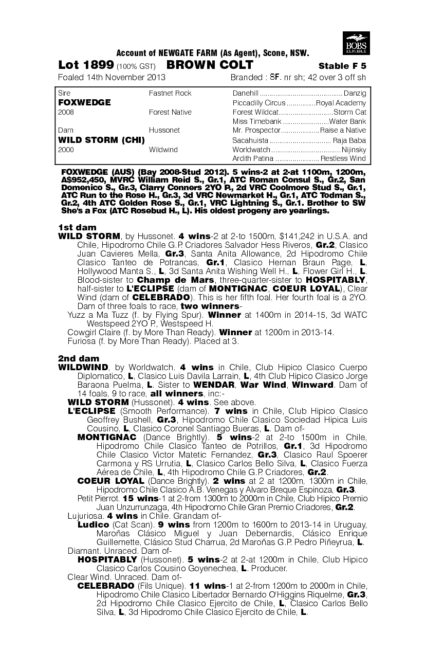 Foxwedge (AUS) / Wild Storm (CHI) - pedigree