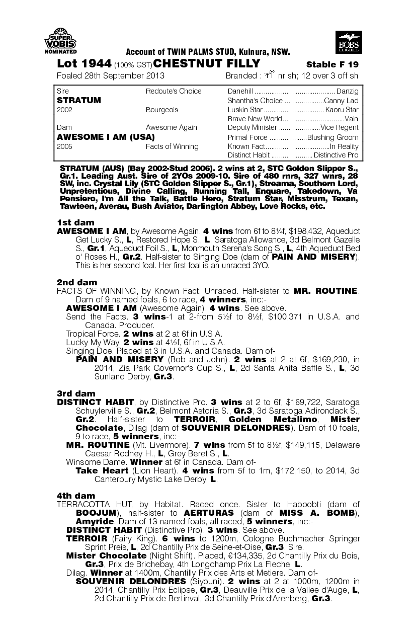 Ginger Island (AUS) - pedigree