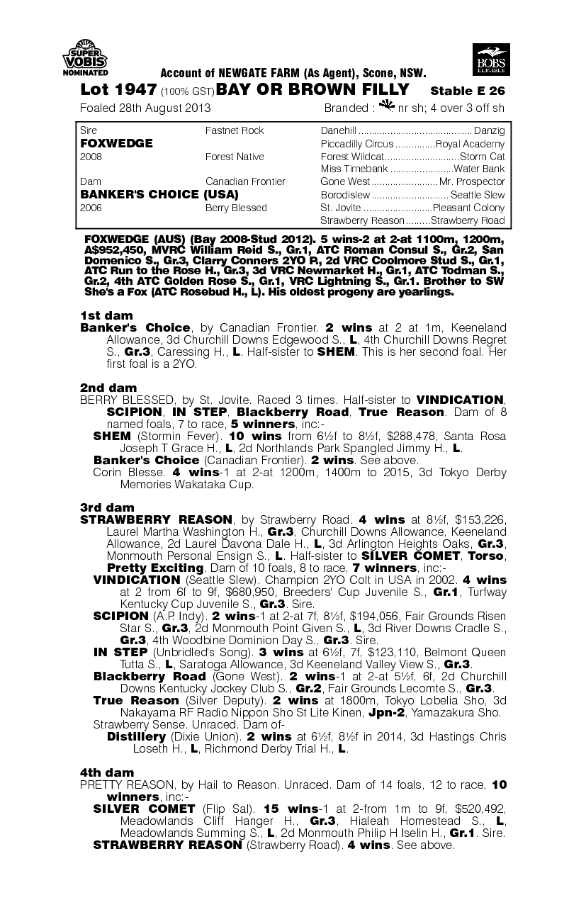 Foxwedge (AUS) / Banker's Choice (USA) - pedigree