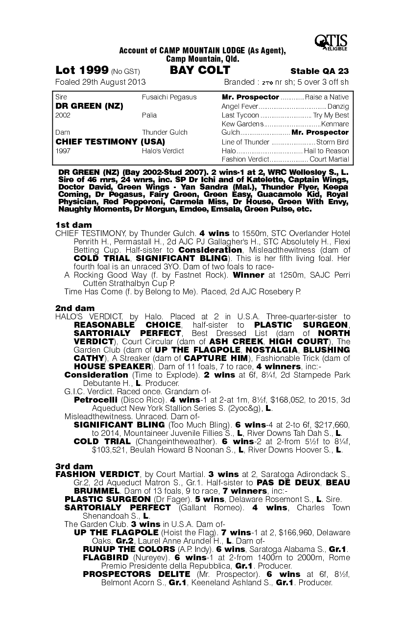 Dr Green (NZ) / Chief Testimony (USA) - pedigree