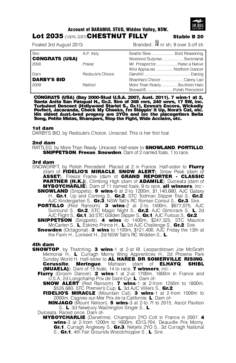 Congrats (USA) / Darby's Bid (AUS) - pedigree