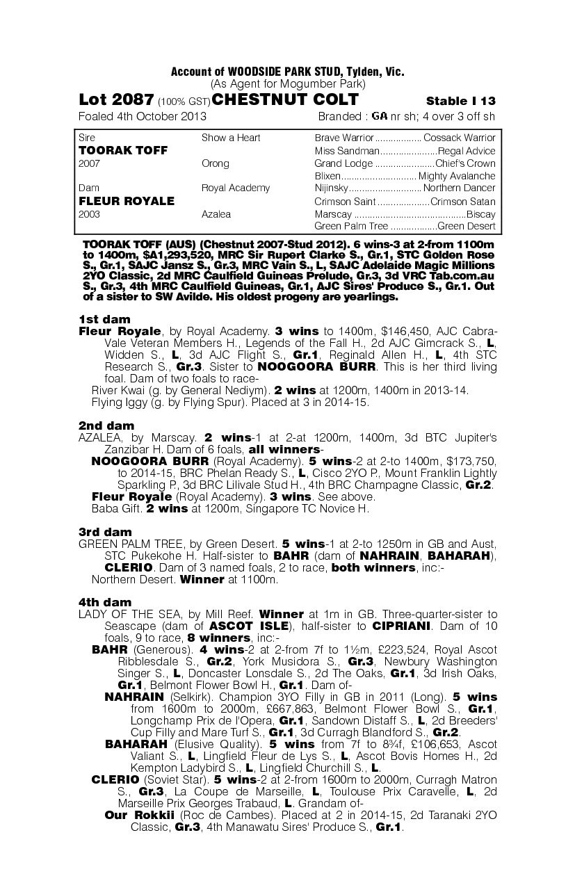 Molotoff (AUS) - pedigree