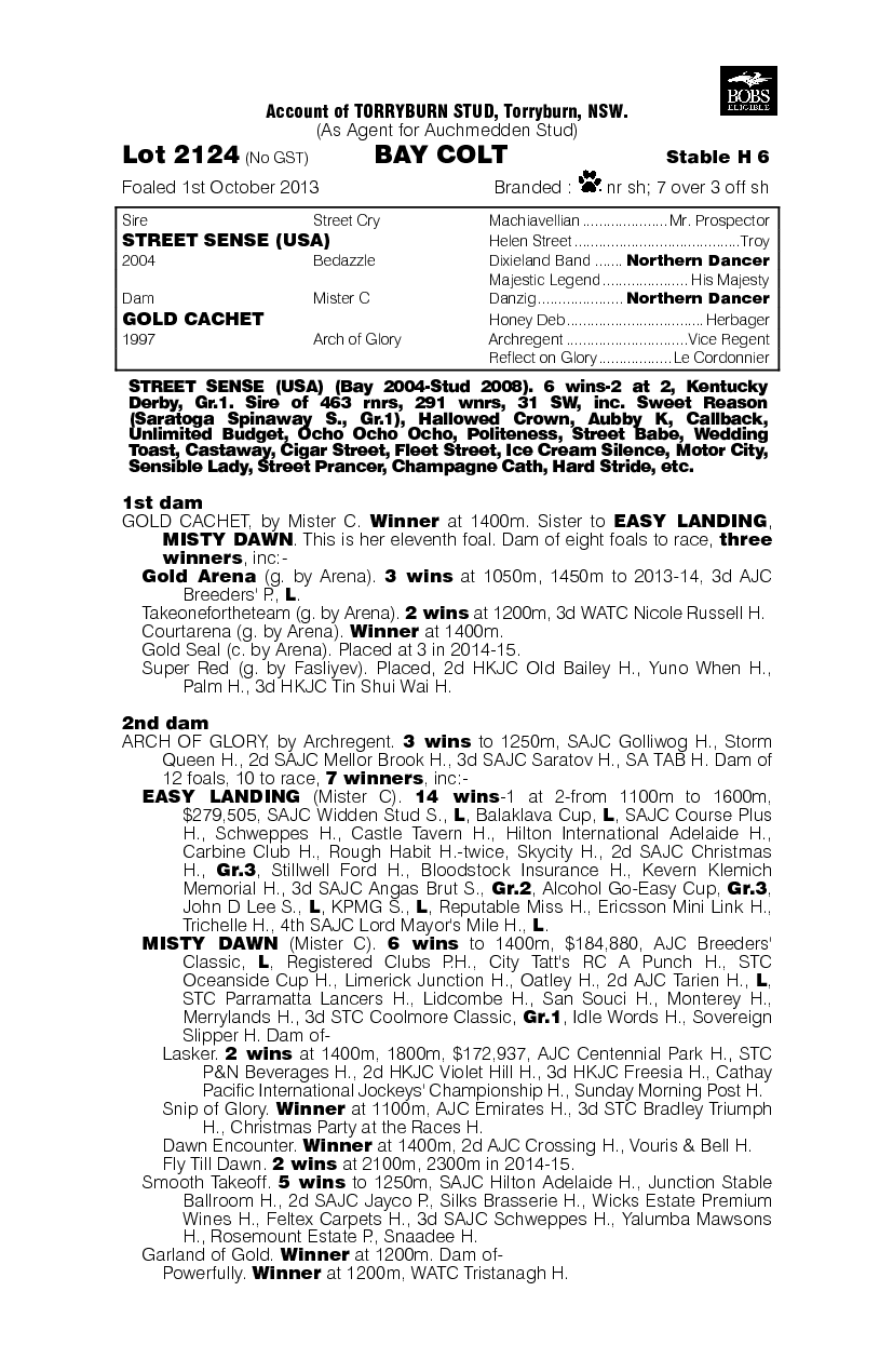 Street Sense (USA) / Gold Cachet (AUS) - pedigree