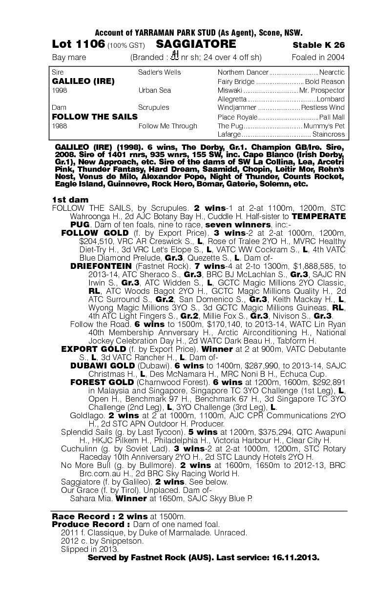 Saggiatore (AUS) - pedigree